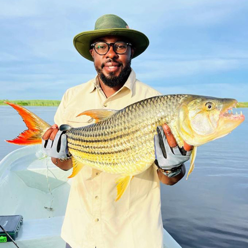 Catch a Tiger in Victoria Falls